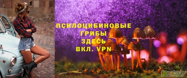 амф Заволжье