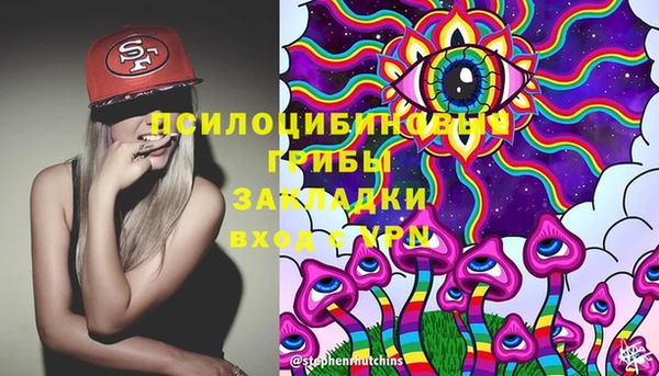сатива Семилуки